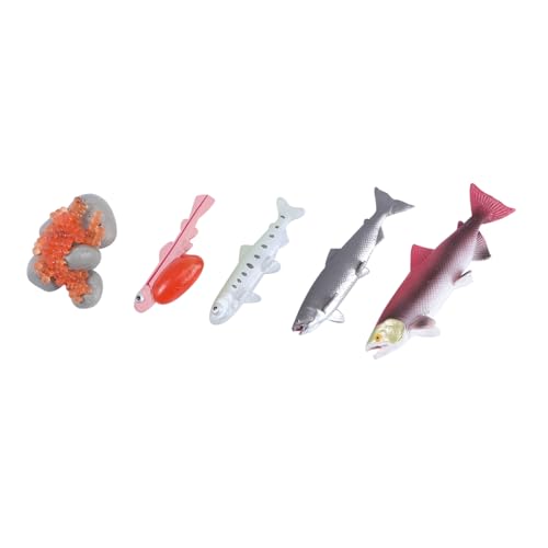 ERINGOGO 4 Stück Teiliges Lifelike Lachsfisch Modell Set Lernspielzeug mit Realistischem Fischwachstumszyklus Kompakt und Pädagogisch für Frühkindliche Entwicklung Farblich Zufällige Farbe ERINGOGO 4 Stück Teiliges Lifelike Lachsfisch Modell Set Lernspielzeug mit Realistischem Fischwachstumszyklus Kompakt und Pädagogisch für Frühkindliche Entwicklung Farblich Zufällige Farbe von ERINGOGO