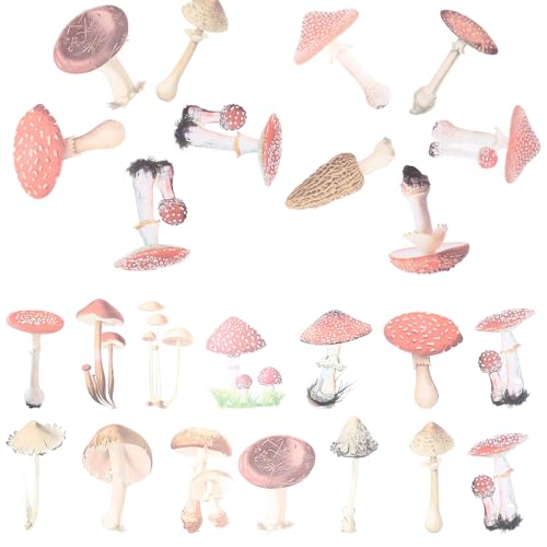 ERINGOGO 40 Stück Mushroom Aufkleber DIY Sticker für Laptop Wasserflasche Journaling Kreative Designs für Persönliche Gestaltung ERINGOGO 40 Stück Mushroom Aufkleber DIY Sticker für Laptop Wasserflasche Journaling Kreative Designs für Persönliche Gestaltung von ERINGOGO