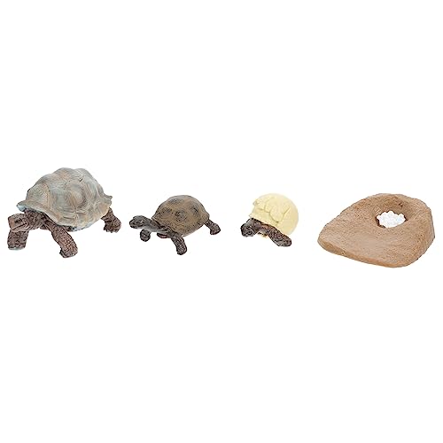 ERINGOGO 4Stücke Schildkröte Lebenszyklus Figuren Modellspielzeug für Realistische Ornamente Naturerziehung Zufällige Farben für Lernzwecke und Sammler von ERINGOGO