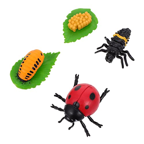 ERINGOGO 4Stücke Wachstumszyklus Dekorative Insektenfiguren Für Naturgetreue Modelle Für Lernspiele Und Kreative Deko von ERINGOGO