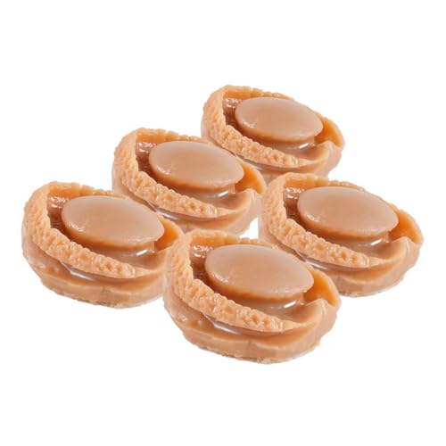 ERINGOGO 5stücke Miniatur Abalone Spielzeug Teiliges Für Puppenhäuser Dekoration Und Crafts Nachbildung Für Fantasievolles Und Kreative Bastelprojekte von ERINGOGO
