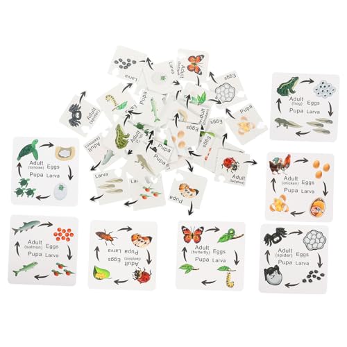 ERINGOGO 7 Sätze Kognitive Insektenspielzeuge Lernrätsel Im Vorschulalter Bildungsspielzeug Puzzle- Puzzlematte Puzzlekleber Lebenszyklus-puzzlespielzeug Kleinkind-Puzzle Hölzern ERINGOGO 7 Sätze Kognitive Insektenspielzeuge Lernrätsel Im Vorschulalter Bildungsspielzeug Puzzle- Puzzlematte Puzzlekleber Lebenszyklus-puzzlespielzeug Kleinkind-Puzzle Hölzern von ERINGOGO