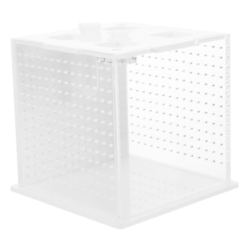 ERINGOGO Box Box Brutkasten für Stabheuschrecken Sprungspinnengehege Reptiliengehäuse Spider-Terrarium-Kit Set für Schneckenterrarium Springspinnen- Acryl Transparent von ERINGOGO