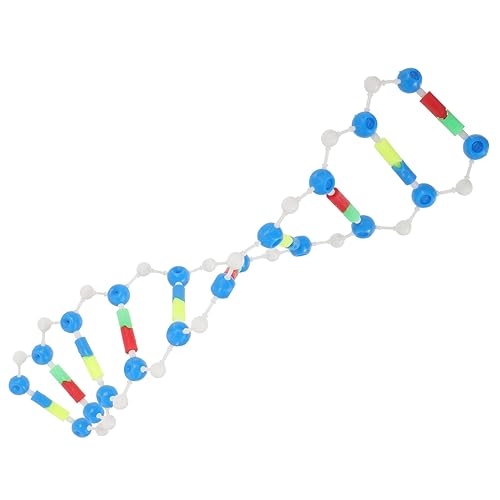 ERINGOGO Doppelhelix Modell DNA Montagemodell Für Chemie Pädagogisches DNA Modell Zur Unterstützung des Lernens Wissenschaftliches Lehrmaterial Für Experimente von ERINGOGO