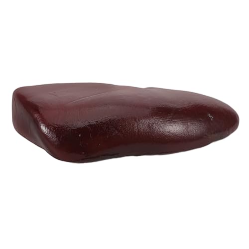 ERINGOGO Falsche Niere Dekor Schweineniere Lebensmittelmodell Halloween Nierenwitze Halloween Schreckliche Niere Requisite Für ERINGOGO Falsche Niere Dekor Schweineniere Lebensmittelmodell Halloween Nierenwitze Halloween Schreckliche Niere Requisite Für von ERINGOGO