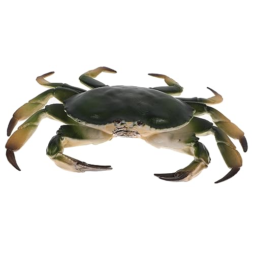 ERINGOGO Authentisches Gefälschtes Krabbenmodell Lernspielzeug Tierstatue Krabbenspielzeug Vielseitiges Für Den Weltraum von ERINGOGO