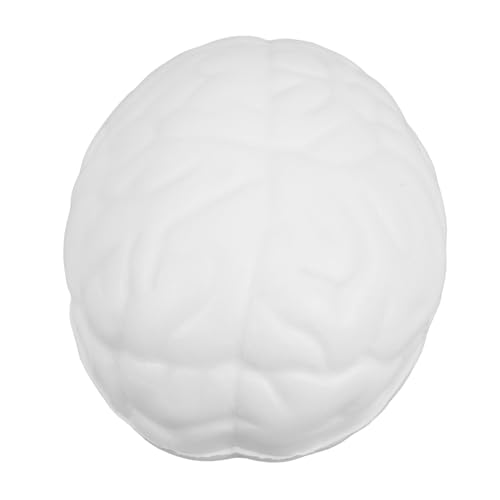 ERINGOGO Gehirndruckball Stressbälle Anti Stress Stressball Lustiger Ball In Gehirnform Dehnbarer Matschiger Stressball Stressabbau Stress Matschig Weiß ERINGOGO Gehirndruckball Stressbälle Anti Stress Stressball Lustiger Ball In Gehirnform Dehnbarer Matschiger Stressball Stressabbau Stress Matschig Weiß von ERINGOGO