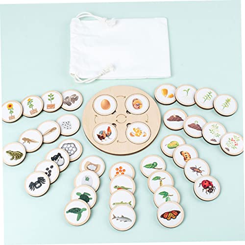 ERINGOGO Holz Lebenszyklus Modell Tiere Wachstum Lernspielzeug Pädagogisch Multifunktional Tragbar für Kreativ zu Hause Schule von ERINGOGO