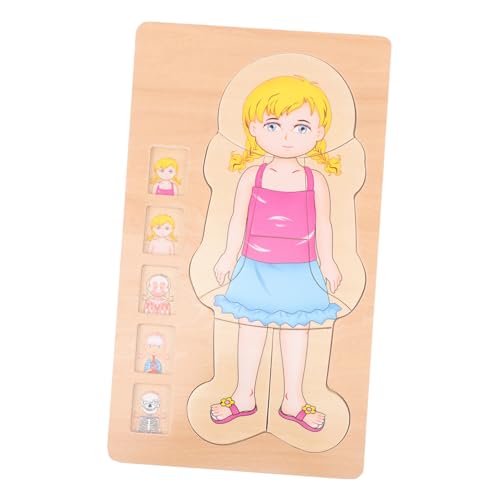 ERINGOGO Holzpuzzle Körperstruktur Lernspielzeug aus Mehrschichtiges Montessori Puzzle für Jungen und Mädchen zur Frühkindlichen Bildung Hand Auge koordination von ERINGOGO