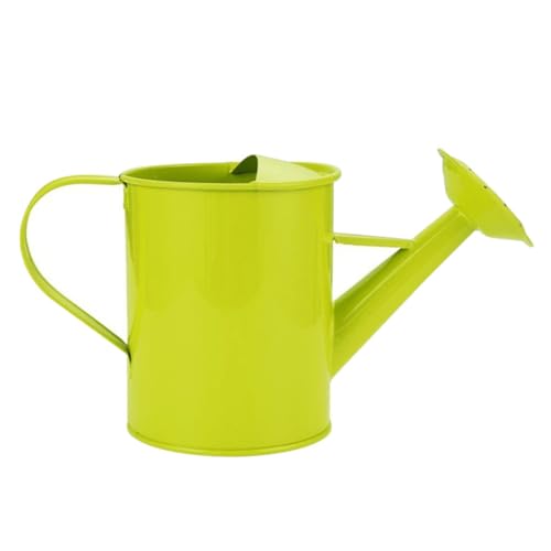 ERINGOGO Kindergießkanne aus Grün Leichte Praktische Wasserkanne für Blumen Sukkulenten Bonsai Rosen Tulpen für Innen Außenbereich ERINGOGO Kindergießkanne aus Grün Leichte Praktische Wasserkanne für Blumen Sukkulenten Bonsai Rosen Tulpen für Innen Außenbereich von ERINGOGO