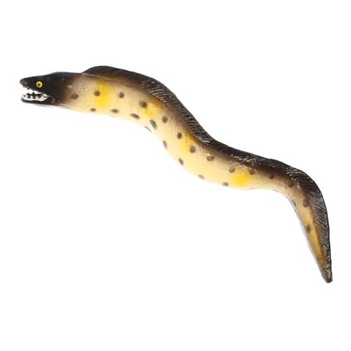 ERINGOGO Kleines Lebensechtes Seeaal Modell Realistisches Seeaal Für Pädagogisches Tiermodell Kognitiven Entwicklung von ERINGOGO