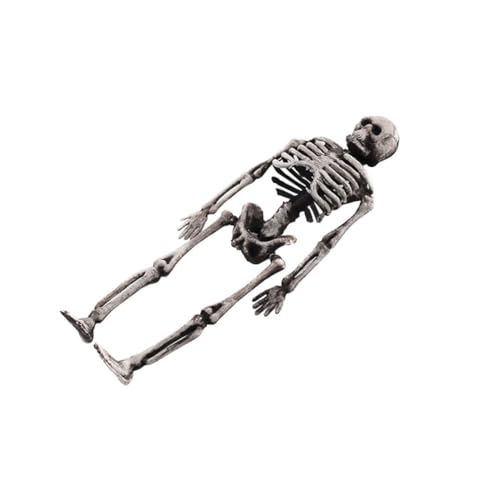 ERINGOGO Kleines Realistisches Skelett Modell Halloween Dekoration aus Hochwertigem Langlebig und Wiederverwendbar für Halloween Partys Grusel Deko für Innen und Außen von ERINGOGO