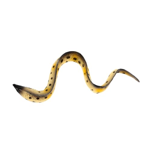 ERINGOGO Kognitives Für Realistisches Meeresaal Modell Detailgetreue Nachbildung Eines Eels Lernspielzeug Für Frühkindliche Entwicklung von ERINGOGO