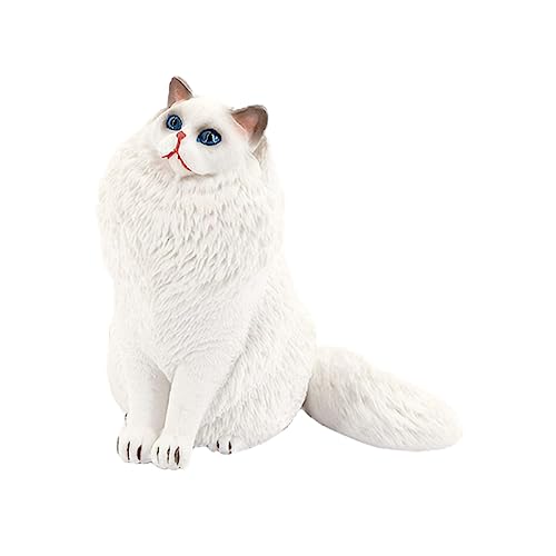 ERINGOGO Katzenmodell Aus Kunststoff Realistische Katzenfigur Für Lernspielzeug Für Naturwissenschaften Hochwertiges Langlebiges Material Für Kreative Entfaltung Und Fantasievolles Spiel von ERINGOGO