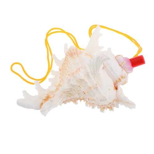 ERINGOGO Large Conch Shell Horn Whistle Dekorative Muschel Pfeife Natürliche Klangquelle Für Heimdekoration Camping Und Reisen von ERINGOGO
