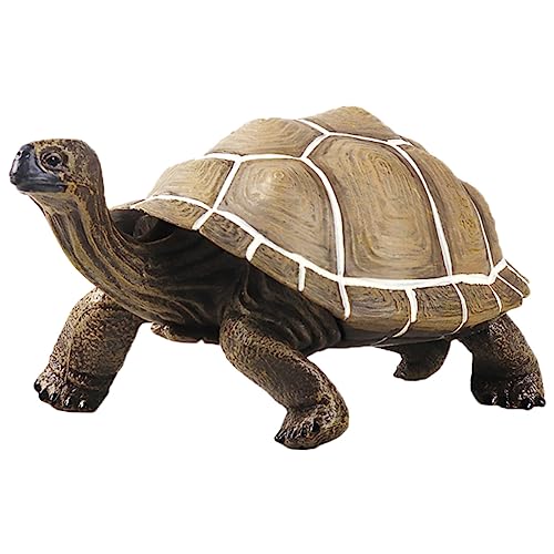 ERINGOGO Lebensechte Schildkrötenfigur aus Hochwertigem Simulierte Schildkröte Kinderspielzeug und Dekoration für Zuhause und Garten für Kreative Lernaktivitäten ERINGOGO Lebensechte Schildkrötenfigur aus Hochwertigem Simulierte Schildkröte Kinderspielzeug und Dekoration für Zuhause und Garten für Kreative Lernaktivitäten von ERINGOGO