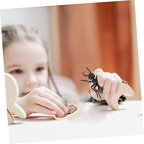 ERINGOGO Lebenszyklus Modell Ameisen Lernspielzeug für Biologie Kognitive Spielfigur Pädagogisches Insektenmodell für Schulprojekte und Naturbeobachtung von ERINGOGO