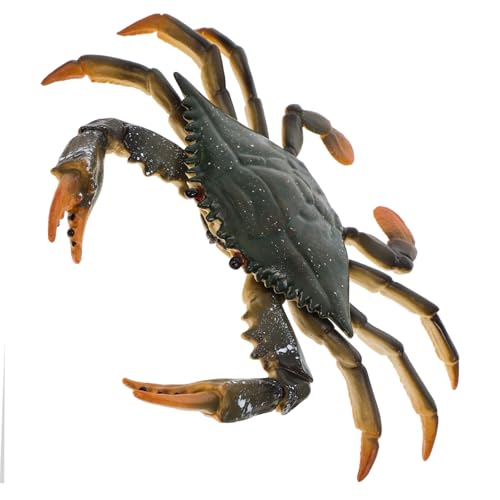 ERINGOGO Lernspielzeug Krabbenfigur aus Leichtem Realistisch Gestaltetes Meeresbewohner Modell Pädagogisches für Fantasie und Kognitive Sicher und Dekorativ von ERINGOGO