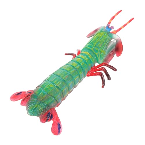 ERINGOGO Simulation Mantis Shrimp Modell Realistische Meereslebewesen Figur Für Junge Mädchen Lernspielzeug Kognitiven Entwicklung Und Meeresbewusstsein Vielseitig Einsetzbar Als von ERINGOGO