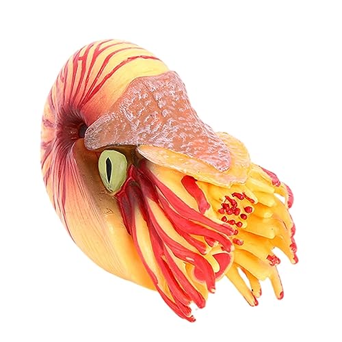 ERINGOGO Lifelike Nautilus Model Simuliertes Meereslebewesen für Aquarien Dekoration Lernspielzeug für Detailreiche Nachbildung aus Langlebigem Material von ERINGOGO