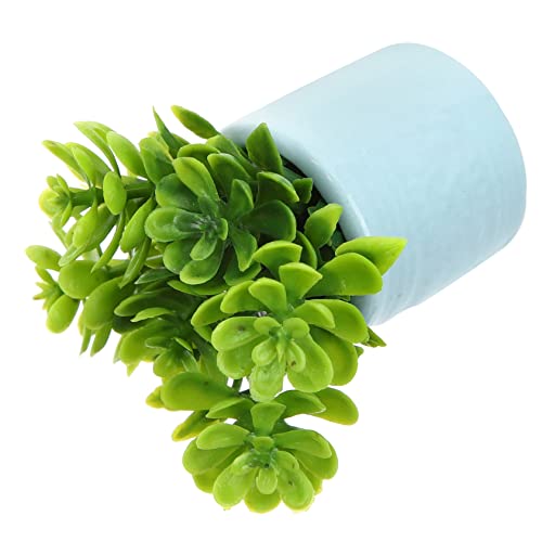 ERINGOGO Mini-Bonsai plastiktisch miniaturen Figuren stylingbã¼rsten Craft Hauszubehör Leuchtend Pflanzen deko Miniatur-Bonsai-Modell Mini-Topfpflanze für Puppenhaus Keramik Blue ERINGOGO Mini-Bonsai plastiktisch miniaturen Figuren stylingbã¼rsten Craft Hauszubehör Leuchtend Pflanzen deko Miniatur-Bonsai-Modell Mini-Topfpflanze für Puppenhaus Keramik Blue von ERINGOGO
