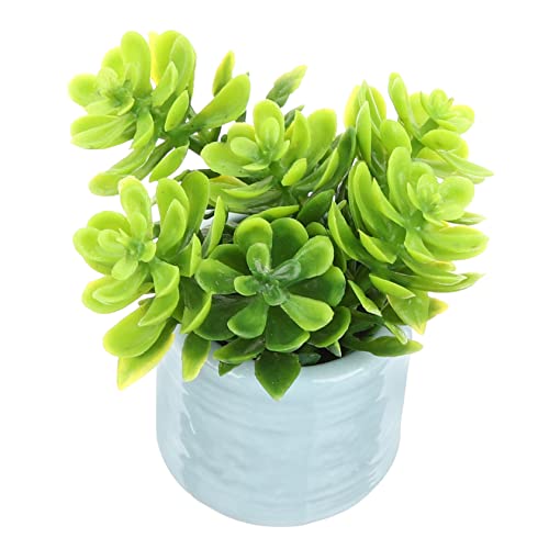 ERINGOGO Mini-topfpflanze Für Puppenhaus Bonsai Im Keramiktopf Für Jungen Und Mädchen Mini-Spielzeug Und Landschaftsdekorationsset ERINGOGO Mini-topfpflanze Für Puppenhaus Bonsai Im Keramiktopf Für Jungen Und Mädchen Mini-Spielzeug Und Landschaftsdekorationsset von ERINGOGO