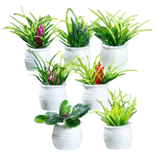ERINGOGO Miniatur Bonsai Töpfe Künstliche Minipflanzen Für Puppenhaus Dekoration Realistische Topfpflanzen Für Wohnräume Miniatur Pflanzen Für Spielzeughäuser ERINGOGO Miniatur Bonsai Töpfe Künstliche Minipflanzen Für Puppenhaus Dekoration Realistische Topfpflanzen Für Wohnräume Miniatur Pflanzen Für Spielzeughäuser von ERINGOGO