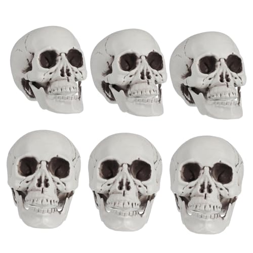 ERINGOGO Miniatur Halloween Schädel Dekorationsartikel Künstliche Kleine Grusel Schädel Für Geisterhaus Requisiten Und Partybedarf Für Halloween Deko Und Horror ERINGOGO Miniatur Halloween Schädel Dekorationsartikel Künstliche Kleine Grusel Schädel Für Geisterhaus Requisiten Und Partybedarf Für Halloween Deko Und Horror von ERINGOGO