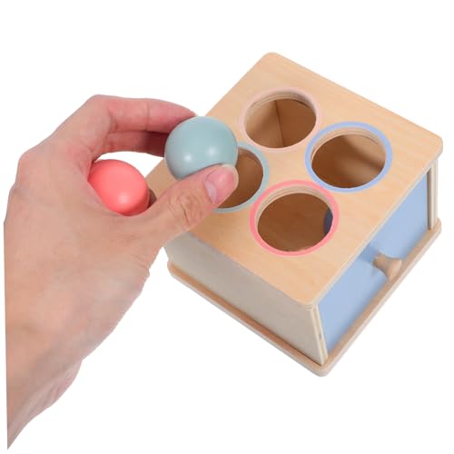 ERINGOGO Montessori Holzspielzeug für Kleinkinder Montessori Lernspiel mit Farben Formerkennung Interaktives Sortierspiel mit Kugelwurf von ERINGOGO