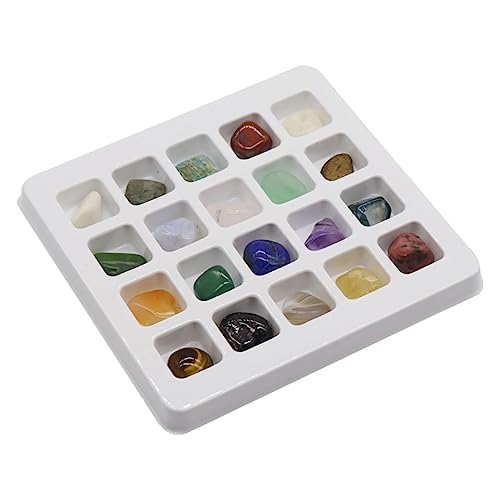 ERINGOGO Natürliche Kristallsteinsammlung Für Lehrspielzeug Mit Echten Mineralien Und Edelsteinen Für Unterricht Und Kreatives Fördert Über Natursteine Und Fossilien ERINGOGO Natürliche Kristallsteinsammlung Für Lehrspielzeug Mit Echten Mineralien Und Edelsteinen Für Unterricht Und Kreatives Fördert Über Natursteine Und Fossilien von ERINGOGO