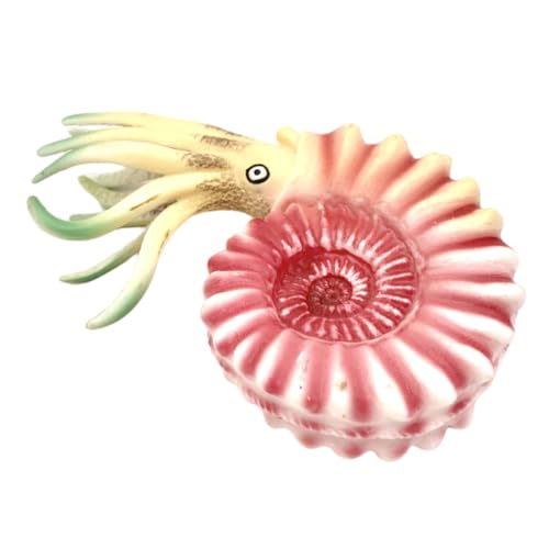 ERINGOGO Nautilus-Modell Simuliertes Meeresmodell Tierfigur Aus Kunststoff Meerestiere Kinderspielzeug Nautilus-Dekoration Nautilus- Meerestierverzierung Tiermodell Rosa Plastik ERINGOGO Nautilus-Modell Simuliertes Meeresmodell Tierfigur Aus Kunststoff Meerestiere Kinderspielzeug Nautilus-Dekoration Nautilus- Meerestierverzierung Tiermodell Rosa Plastik von ERINGOGO