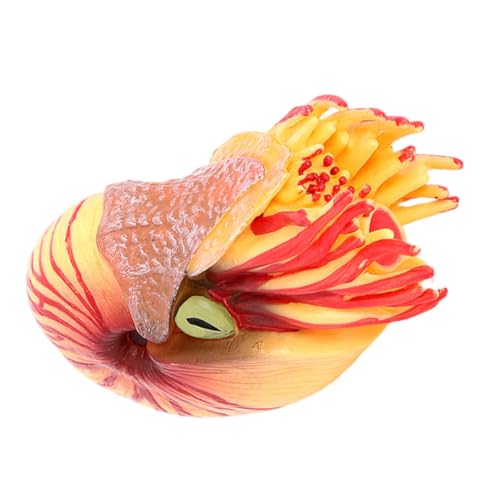 ERINGOGO Nautilus Modellfigur Realistische Meeresbewohner Deko für Geeignet für Zuhause Garten Hotel und Einkaufszentrum Fördert Kreativität und Umweltbewusstsein ERINGOGO Nautilus Modellfigur Realistische Meeresbewohner Deko für Geeignet für Zuhause Garten Hotel und Einkaufszentrum Fördert Kreativität und Umweltbewusstsein von ERINGOGO