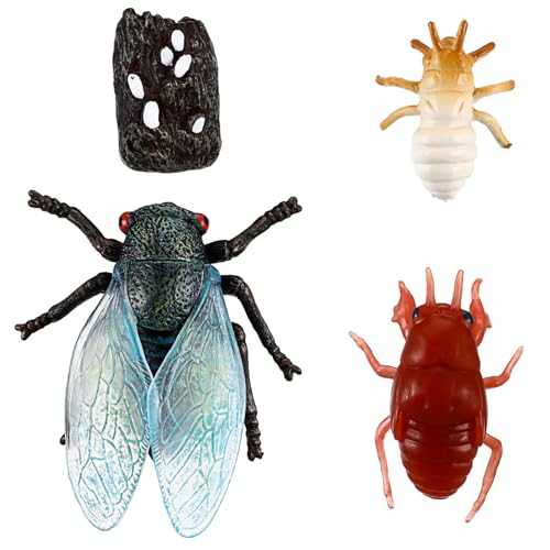 ERINGOGO Pädagogisches Insektenmodell Zikaden Lebenszyklus Figurenset Realistisch Langlebig Lernspielzeug für Geschenkfüllung Desktop Dekoration ERINGOGO Pädagogisches Insektenmodell Zikaden Lebenszyklus Figurenset Realistisch Langlebig Lernspielzeug für Geschenkfüllung Desktop Dekoration von ERINGOGO
