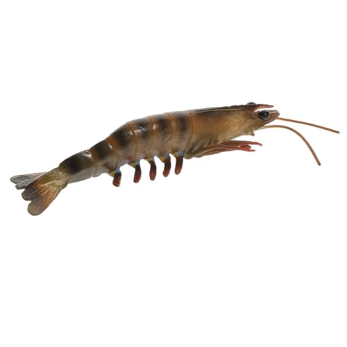 ERINGOGO Pädagogisches Shrimp aus Hochwertigem Kunststoff Realistisches Meeresbewohner Modell Lustiges Lernspielzeug für Ab Jahren Geeignet Interaktives und Zubehör von ERINGOGO