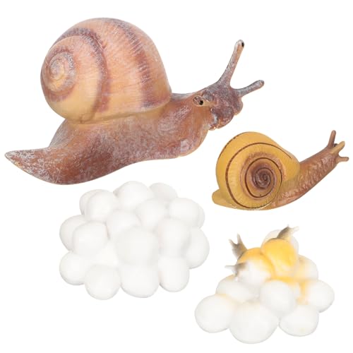 ERINGOGO Pädagogisches Tierwachstumszyklus Modell Realistische Schnecke Hühner Figuren Lernspielzeug für Frühe Bildung Geschenk Geburtstag Weihnachten ERINGOGO Pädagogisches Tierwachstumszyklus Modell Realistische Schnecke Hühner Figuren Lernspielzeug für Frühe Bildung Geschenk Geburtstag Weihnachten von ERINGOGO