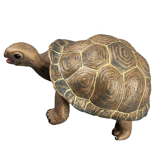 ERINGOGO Plastik Schildkrötenmodell aus Robustem PVC Dekorative und Langlebige Schildkrötenfigur Pädagogisches Kinderspielzeug Realistische Meeres und Landschildkröte für Schulprojekte ERINGOGO Plastik Schildkrötenmodell aus Robustem PVC Dekorative und Langlebige Schildkrötenfigur Pädagogisches Kinderspielzeug Realistische Meeres und Landschildkröte für Schulprojekte von ERINGOGO