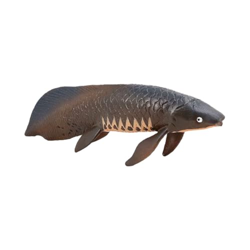 ERINGOGO Plastisches Fischmodell Realistische Pirarucu Figur Pädagogisch für Lernspielzeug Deko Unterwassertier Simulation aus Sicherem Kunststoff von ERINGOGO