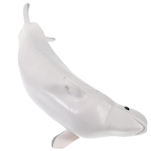 ERINGOGO Realistische Beluga Wal Figur Falsches Walspielzeug Modell Für Simuliertes Tier Dekoratives Für Thema ERINGOGO Realistische Beluga Wal Figur Falsches Walspielzeug Modell Für Simuliertes Tier Dekoratives Für Thema von ERINGOGO