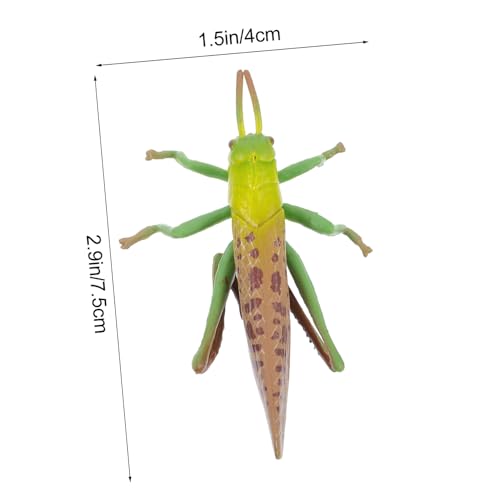 ERINGOGO Realistische Cricket Figuren Lebenszyklus Modell für Pädagogisch Kreativ Gestaltete Desktop Dekoration und Lernspielzeug ERINGOGO Realistische Cricket Figuren Lebenszyklus Modell für Pädagogisch Kreativ Gestaltete Desktop Dekoration und Lernspielzeug von ERINGOGO