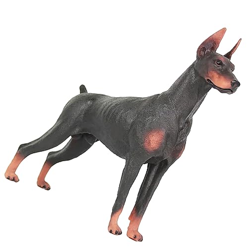ERINGOGO Realistische Dobermann Hundestatue Simulationstierspielzeug Für Dekorative Hundefigur Lernspielzeug Kognitiven Fähigkeiten von ERINGOGO