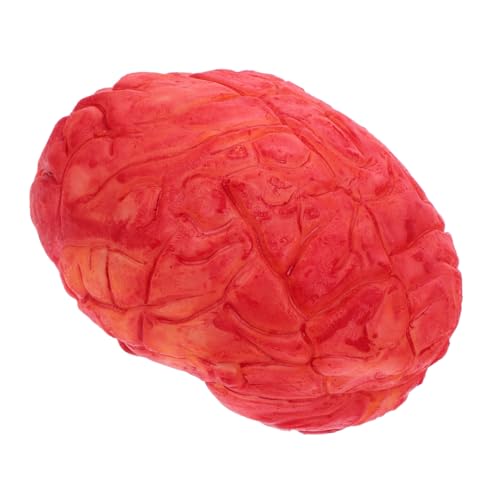 ERINGOGO Realistische Halloween Deko Gehirn Attrappe Dunkelrotes Fake Organ für Horror Party Requisiten Gruselige Leichen Ersatzteile für Halloween Dekoration und Cosplay Zubehör von ERINGOGO