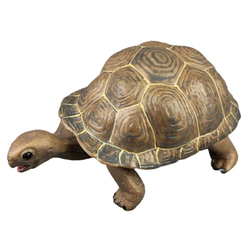 ERINGOGO Realistische Schildkröten Figur PVC Modell Glatte Oberfläche Pädagogisches Kinderspielzeug Dekorative Gartendeko Wetterfest Farbenfrohe Tierfigur für Sammler ERINGOGO Realistische Schildkröten Figur PVC Modell Glatte Oberfläche Pädagogisches Kinderspielzeug Dekorative Gartendeko Wetterfest Farbenfrohe Tierfigur für Sammler von ERINGOGO