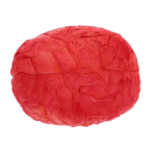 ERINGOGO Realistisches Halloween Deko Gehirn Fake Body Parts Gruselige Horror Requisite für Halloween Party Spukhaus Deko und Kostüm Zubehör in Dunkelrot von ERINGOGO