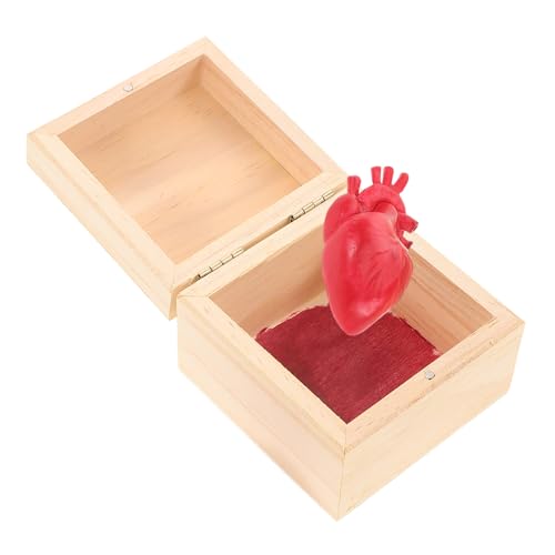 ERINGOGO Realistisches Halloween Herz Deko mit Holzbox Blutiges Anatomisches Herz in Eleganter Geschenkbox Vielseitige Gruselige Wohn und Bürodekoration Kreative Scherzartikel für von ERINGOGO
