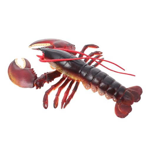 ERINGOGO Realistisches Hummer Modell Detailgetreues Tierspielzeug Für Dekoration Hummer Kreaturenmodell Für Aquarien Und Spielzeugliebhaber ERINGOGO Realistisches Hummer Modell Detailgetreues Tierspielzeug Für Dekoration Hummer Kreaturenmodell Für Aquarien Und Spielzeugliebhaber von ERINGOGO