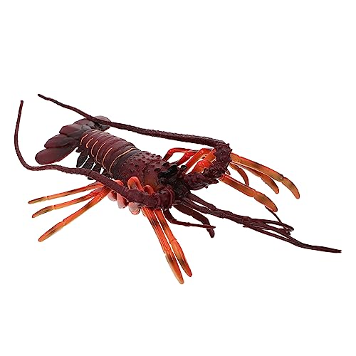 ERINGOGO Realistisches Hummer Modell aus Robustem Kunststoff Detailgetreues Tiermodell als Kinderlernspielzeug und Dekoratives Meeres Dekoobjekt für Kindergeburtstag Mitgebsel ERINGOGO Realistisches Hummer Modell aus Robustem Kunststoff Detailgetreues Tiermodell als Kinderlernspielzeug und Dekoratives Meeres Dekoobjekt für Kindergeburtstag Mitgebsel von ERINGOGO