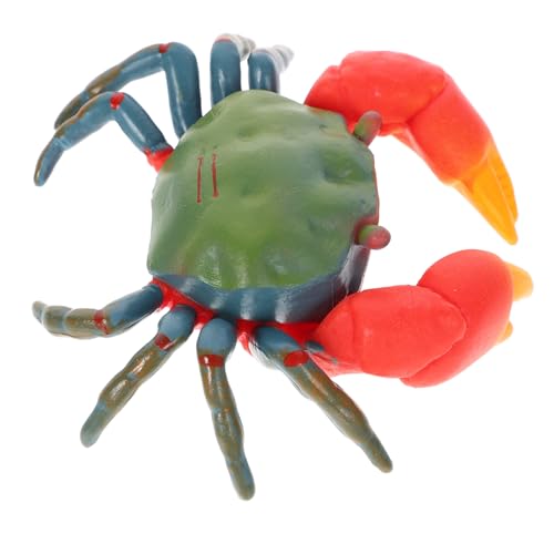 ERINGOGO Realistisches Krabben aus Detailgetreues Meereslebewesen Modell für Pädagogisches Rollenspiel Langlebige Aquarium Deko und Sammelfigur ERINGOGO Realistisches Krabben aus Detailgetreues Meereslebewesen Modell für Pädagogisches Rollenspiel Langlebige Aquarium Deko und Sammelfigur von ERINGOGO