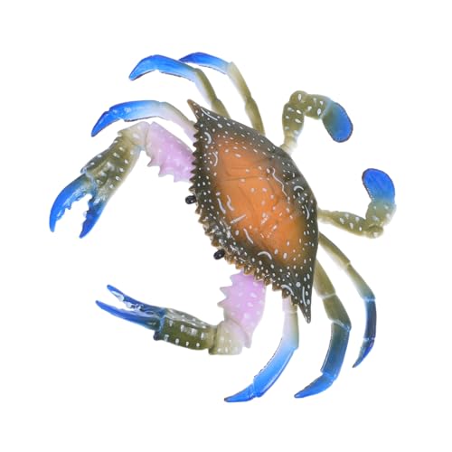 ERINGOGO Realistisches Plastik Krabben Bunte Meeresbewohner Figur für Dekoration Aquarium Deko Unterwasser Tiere Langlebiges Kunststoffmodell ERINGOGO Realistisches Plastik Krabben Bunte Meeresbewohner Figur für Dekoration Aquarium Deko Unterwasser Tiere Langlebiges Kunststoffmodell von ERINGOGO