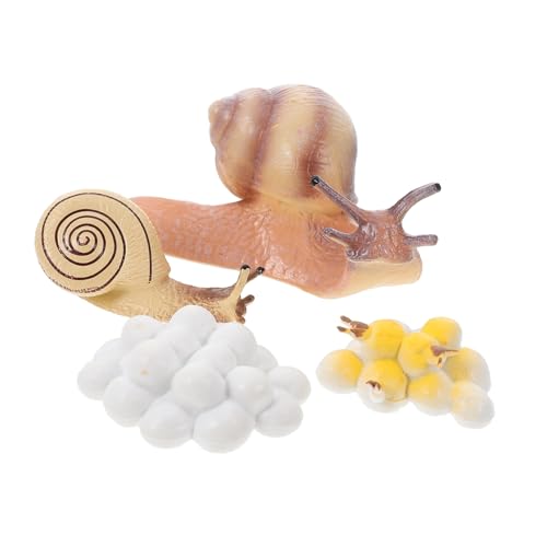 ERINGOGO Realistisches Schnecken lebenszyklus Modell Pädagogisches Tier evolutionsspielzeug für Kinderzimmer Dekoration und Frühe Bildung ERINGOGO Realistisches Schnecken lebenszyklus Modell Pädagogisches Tier evolutionsspielzeug für Kinderzimmer Dekoration und Frühe Bildung von ERINGOGO