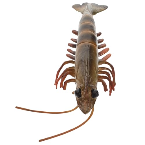 ERINGOGO Realistisches Shrimp Modell Kunststoff Nachbildung Meerestiere Figur Pädagogisches Dekoratives Aquarium Accessoire Lustiges für Meereswelt Erkundung ERINGOGO Realistisches Shrimp Modell Kunststoff Nachbildung Meerestiere Figur Pädagogisches Dekoratives Aquarium Accessoire Lustiges für Meereswelt Erkundung von ERINGOGO